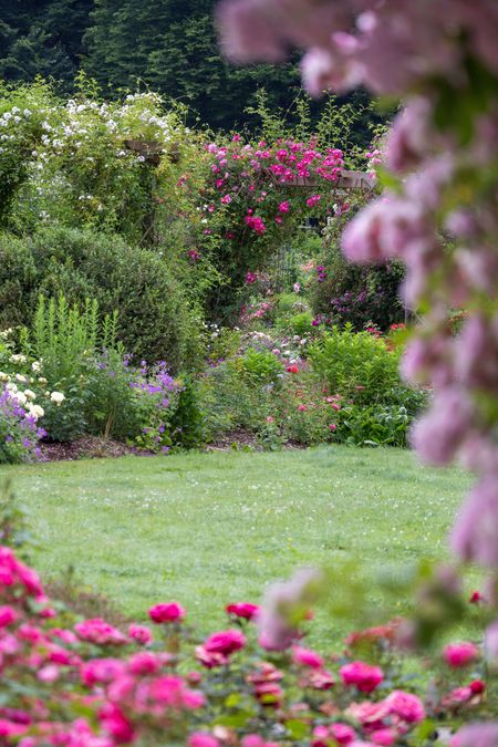 Rosengarten im Kurpark Bad Wörishofen