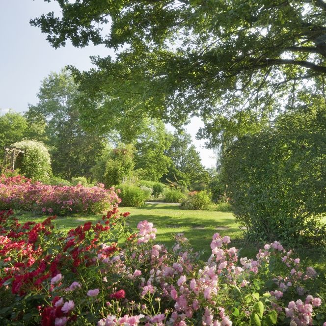 Bad Wörishofen Rosengarten
